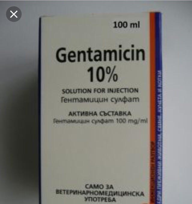 Hình ảnh minh họa thuốc Gentamycin 10%