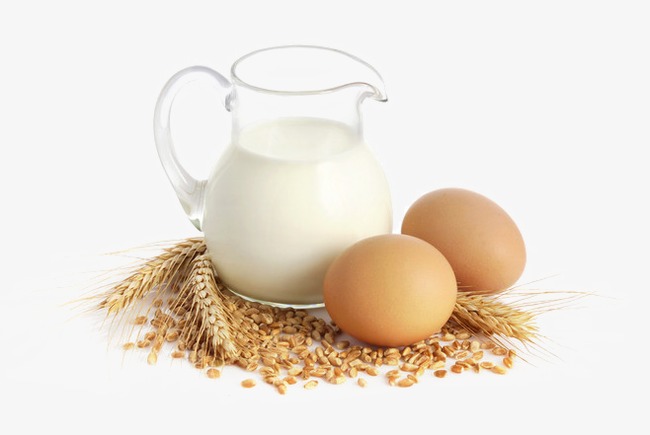 Trứng và sữa cung cấp nguồn đạm cần thiết cho trẻ bị tay chân miệng 