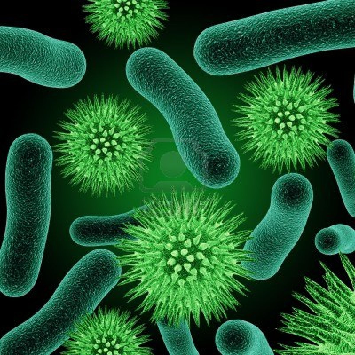 Virus và vi khuẩn là nguyên nhân gây viêm phế quản cấp 