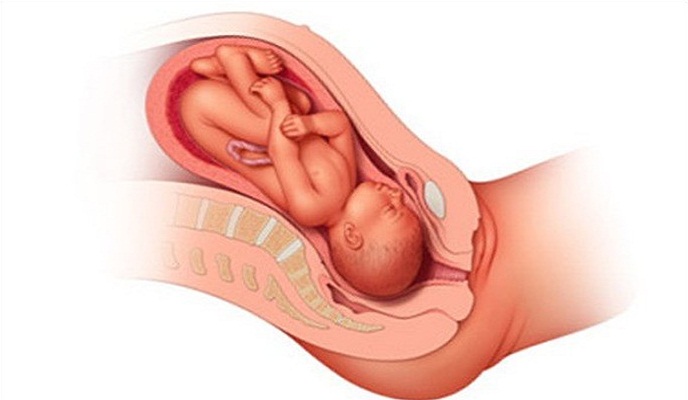 Quá trình mang thai và sinh con ảnh hưởng rất lớn tới tử cung của người mẹ