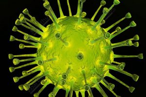 Virus Herpes zoster gây bệnh thủy đậu ở trẻ và bệnh zona ở người lớn