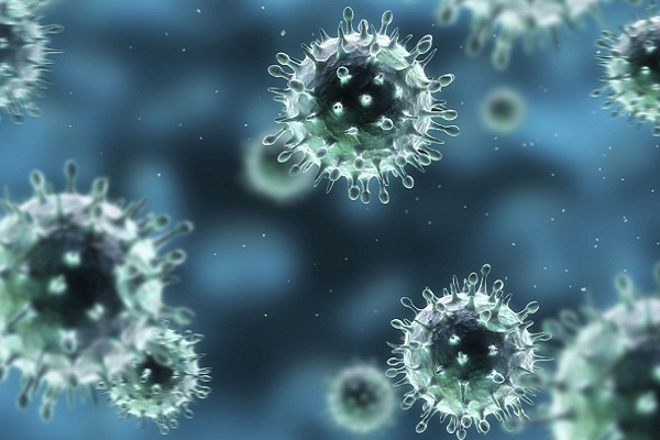 Virus cúm chính là tác nhân gây ra bệnh cảm cúm 