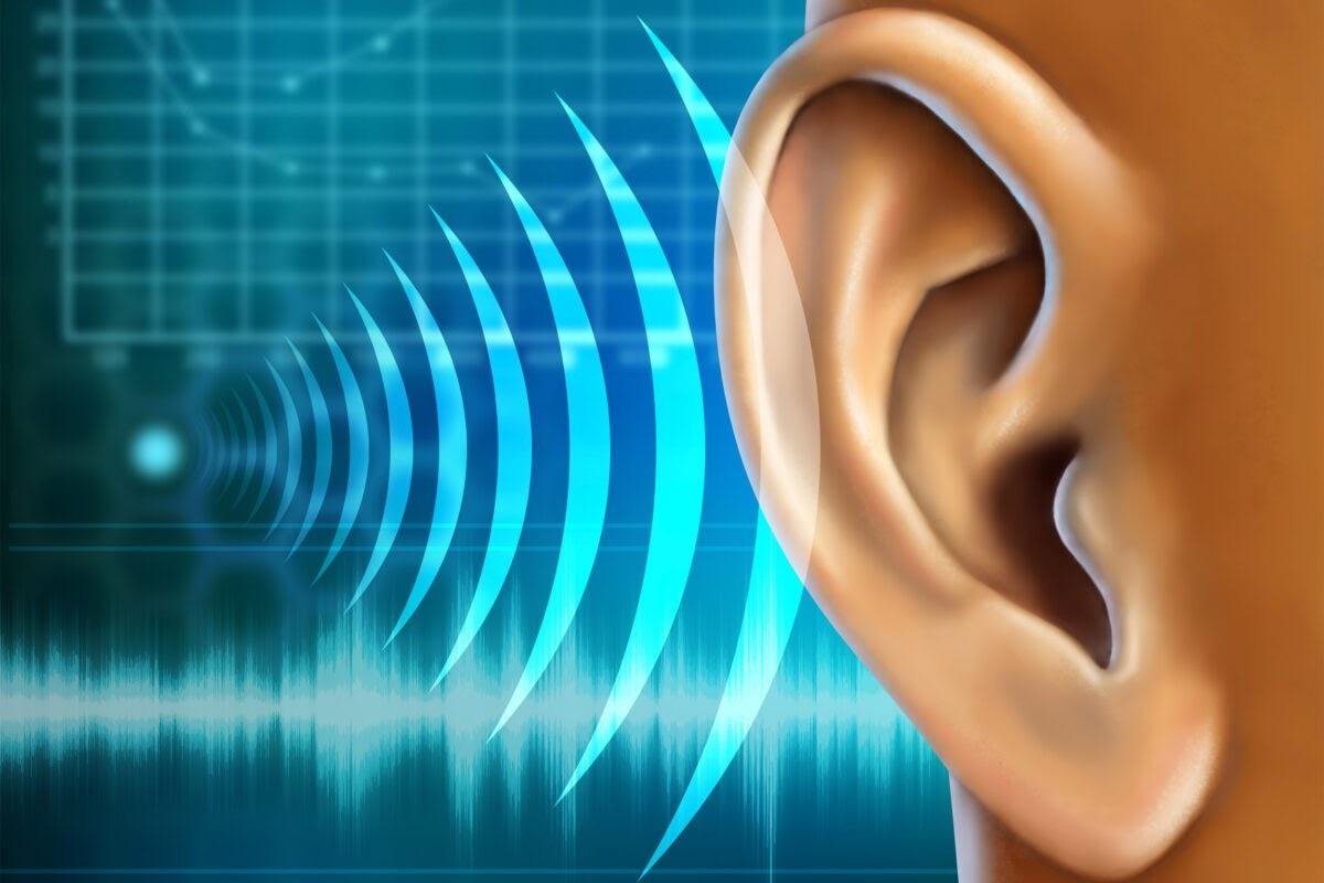 Điếc là tình trạng suy giảm chức năng nghe của tai