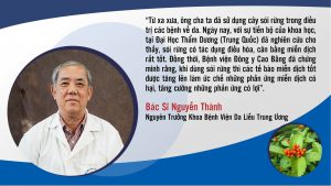 Chuyên gia đánh giá tác dụng của Kim Miễn Khang với bệnh vảy nến