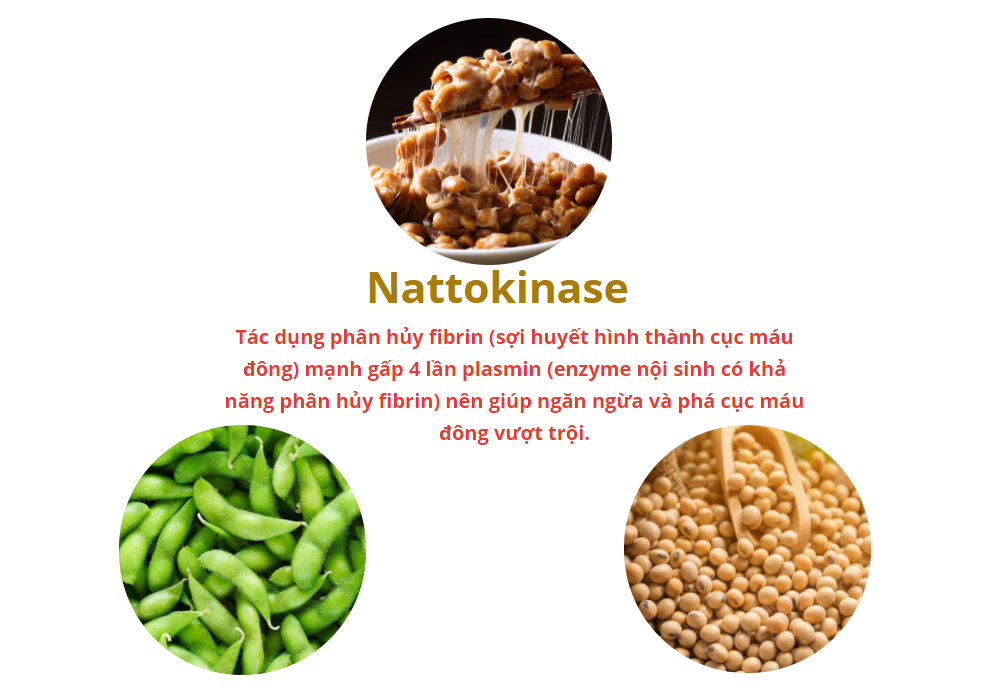 Nattospes giúp làm tan cục máu đông nhờ nattokinase