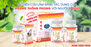 Hoàng Thống Phong là sản phẩm hỗ trợ điều trị gout đã được nghiên cứu lâm sàng