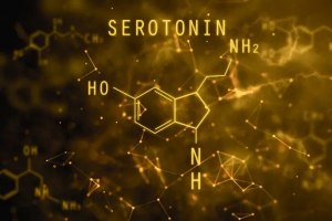 Serotonin là hormone điều chỉnh tâm trạng, cảm xúc