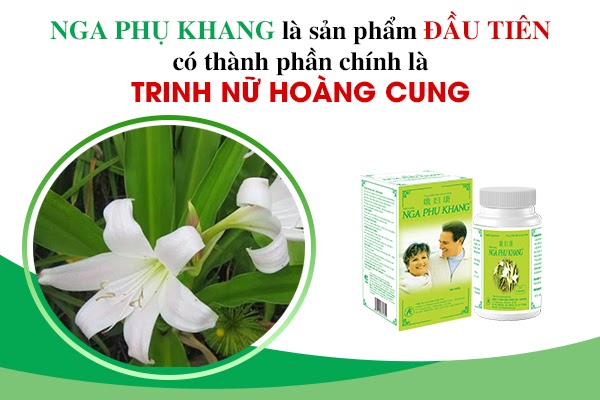 Nga Phụ Khang chứa thành phần chính là cây trinh nữ hoàng cung giúp cải thiện bệnh u nang buồng trứng hiệu quả